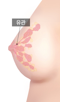유관 유지