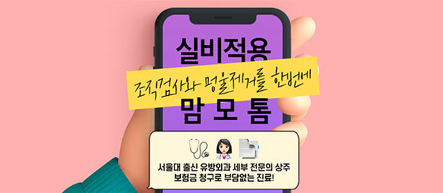 실미맘모톰 이미지